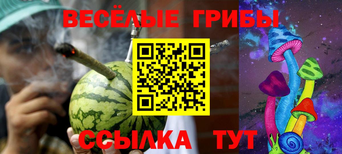 Псилоцибиновые грибы мухоморы Боровичи
