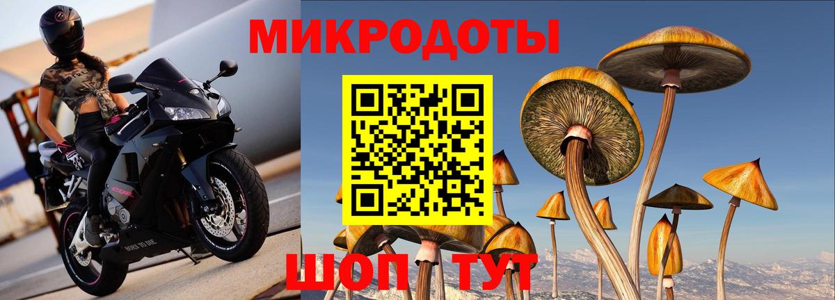 Боровичи  Псилоцибиновые грибы ЛСД  Вход с VPN 